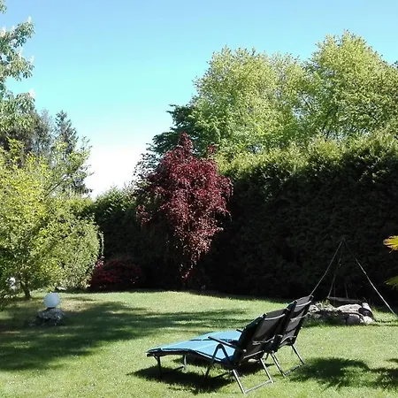 Apartment Ferienwohnung Zum Grünen Wald *