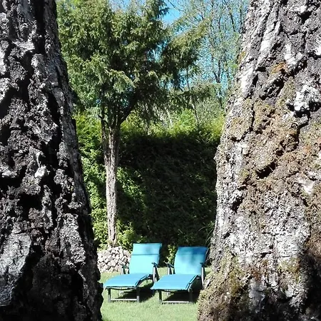 Ferienwohnung Zum Grünen Wald Apartment