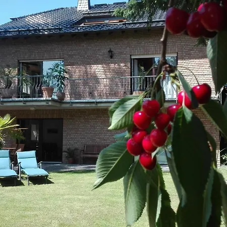 Apartment Ferienwohnung Zum Grünen Wald *