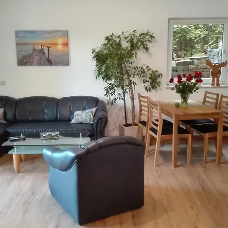 Apartment Ferienwohnung Zum Grünen Wald *